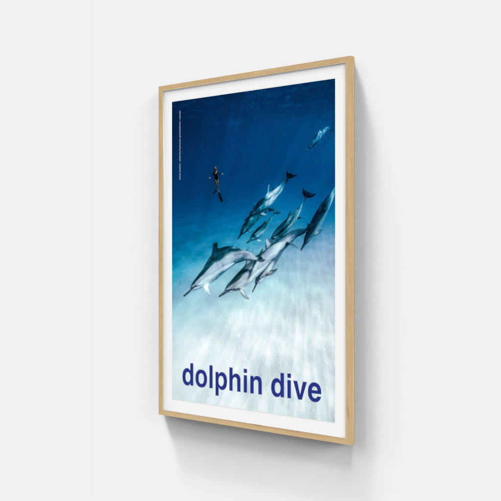 Scuba - Dolphin Dive poster