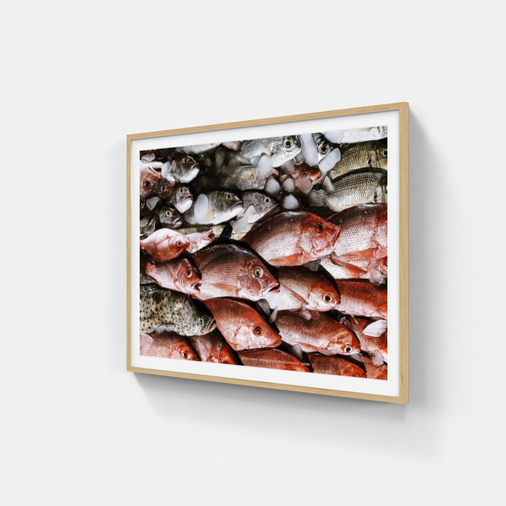 Fresh Fish Ocean Colours poster