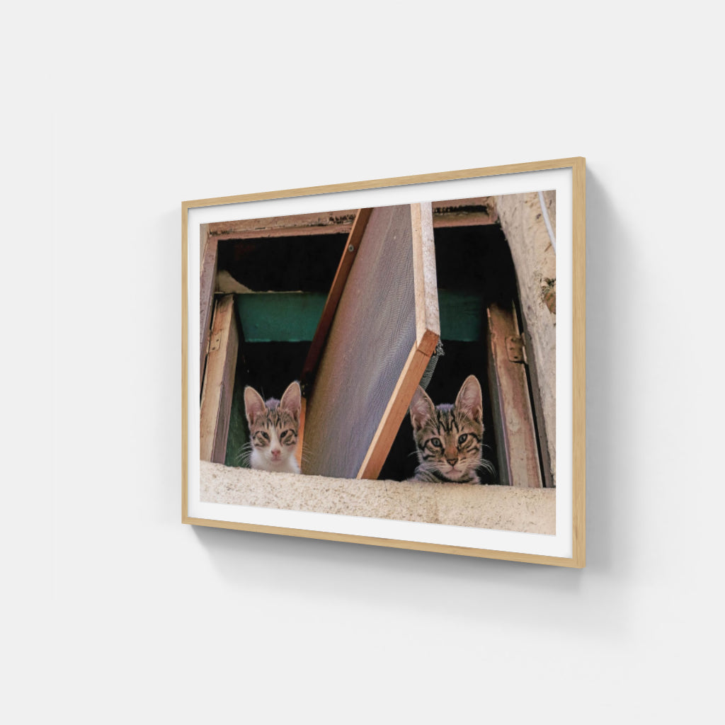 Kittens in a Window poster