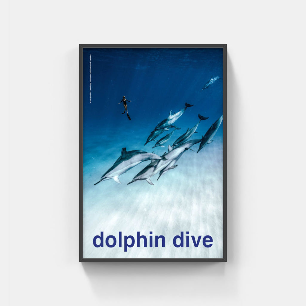 Scuba - Dolphin Dive poster