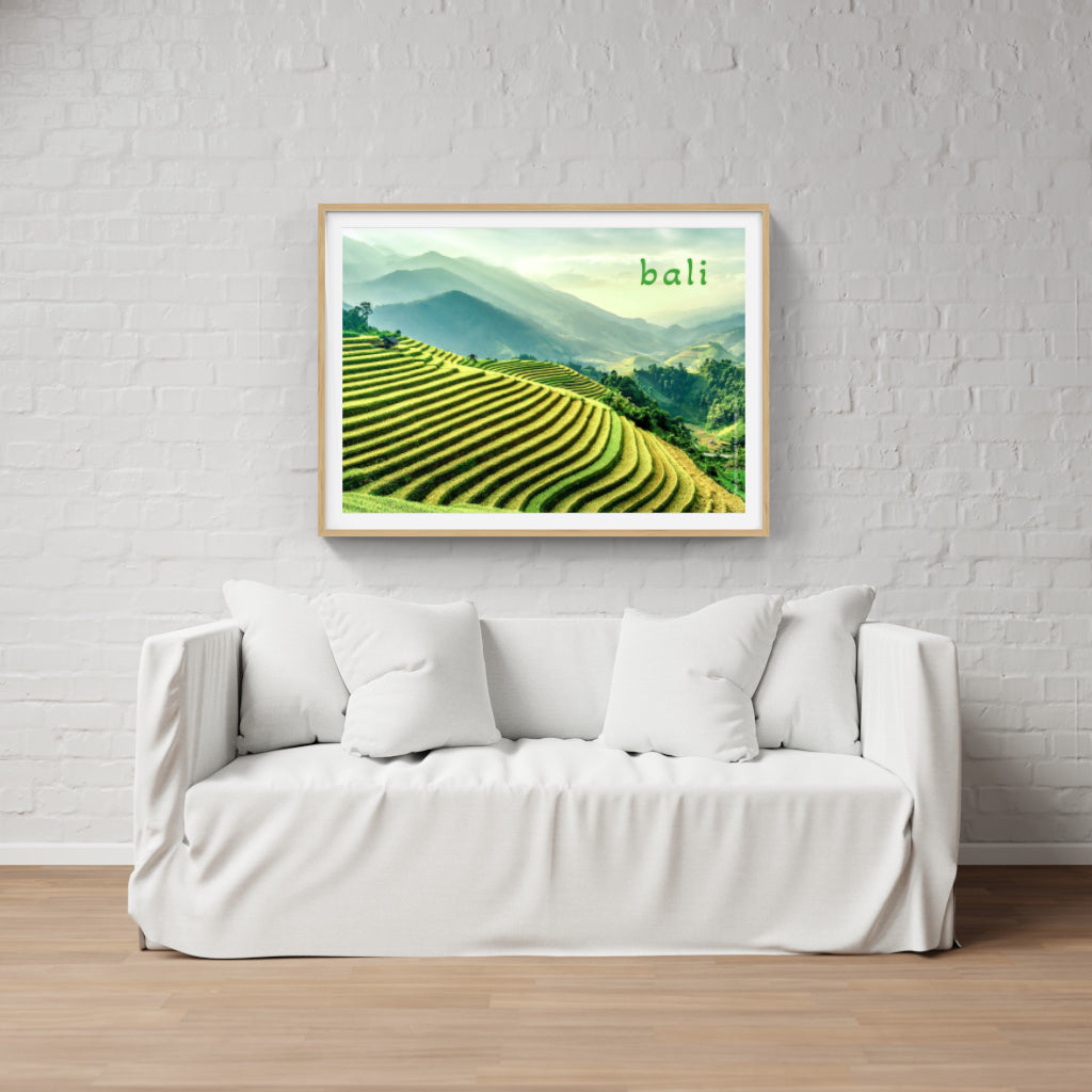 Bali Rice Terraces poster