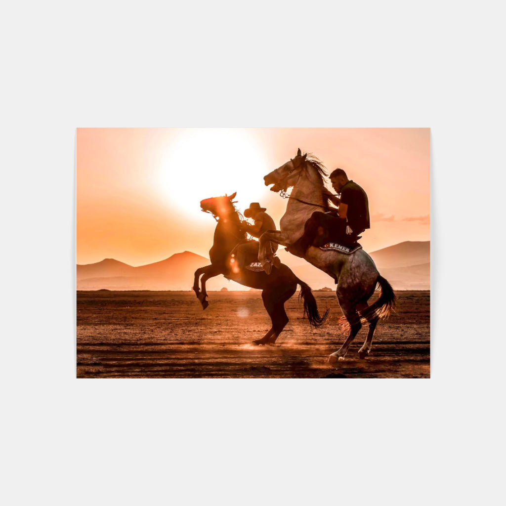 Double Rodeo horse poster