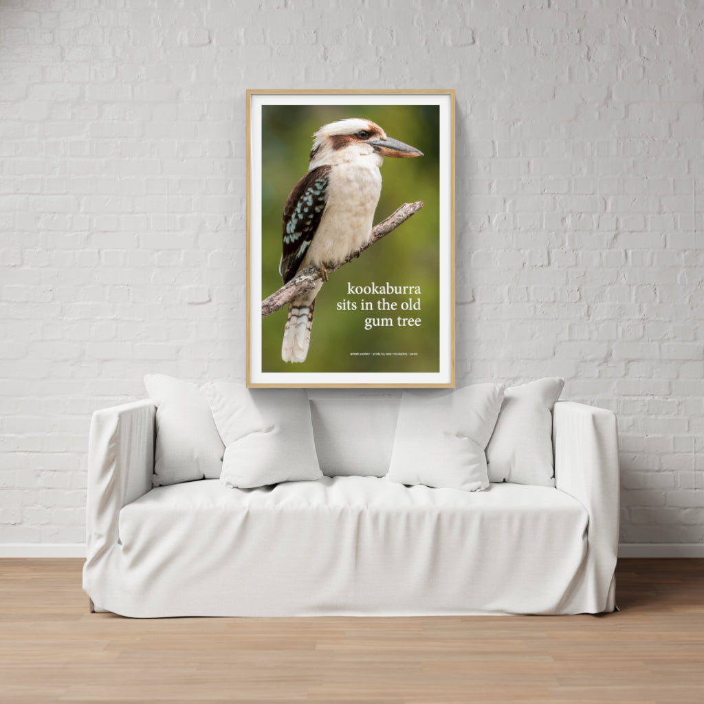 Kookaburra sits in the Old Gum Tree poster