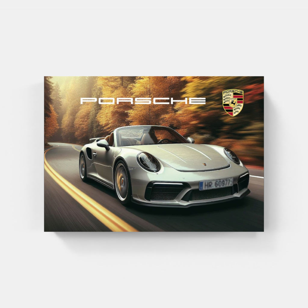 Porsche 911 Cabriolet poster