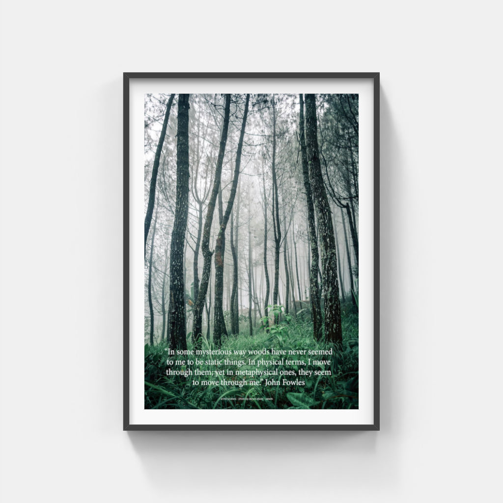 Mysterious Woods poster