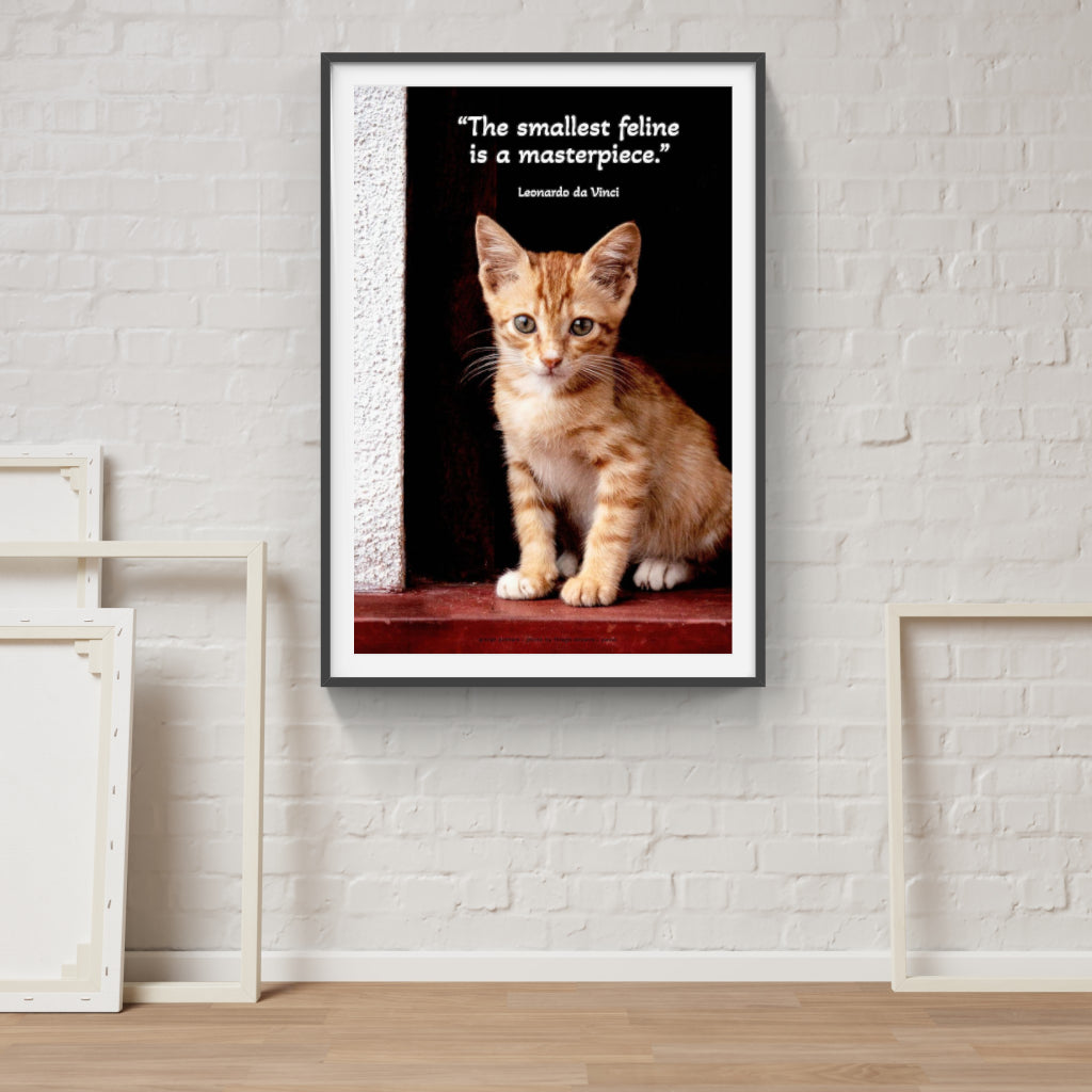 Kitten in a Doorway poster