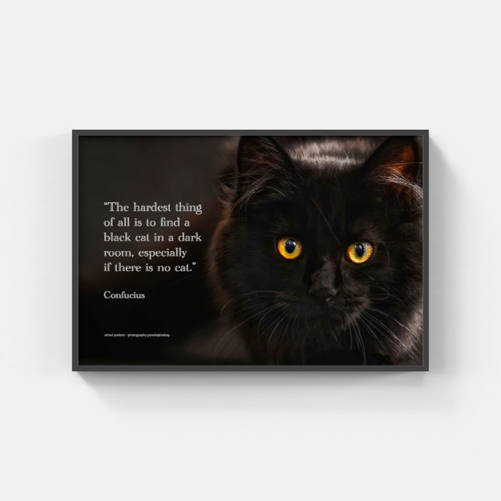 Confucian Cat poster