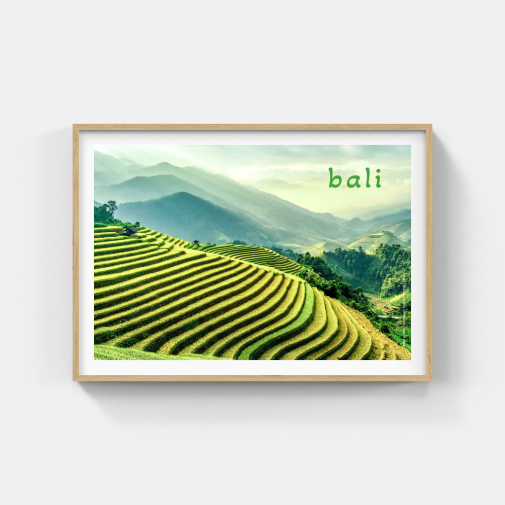 Bali Rice Terraces poster