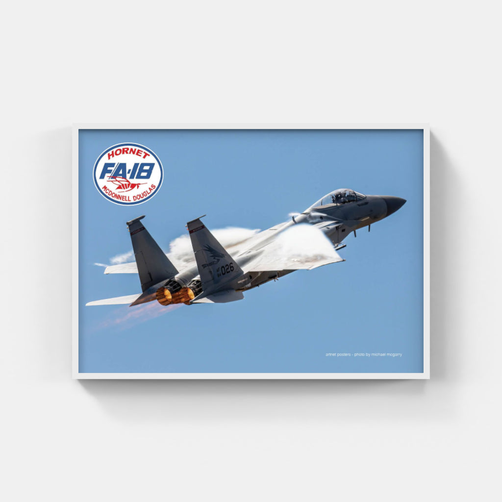 F18 Hornet poster