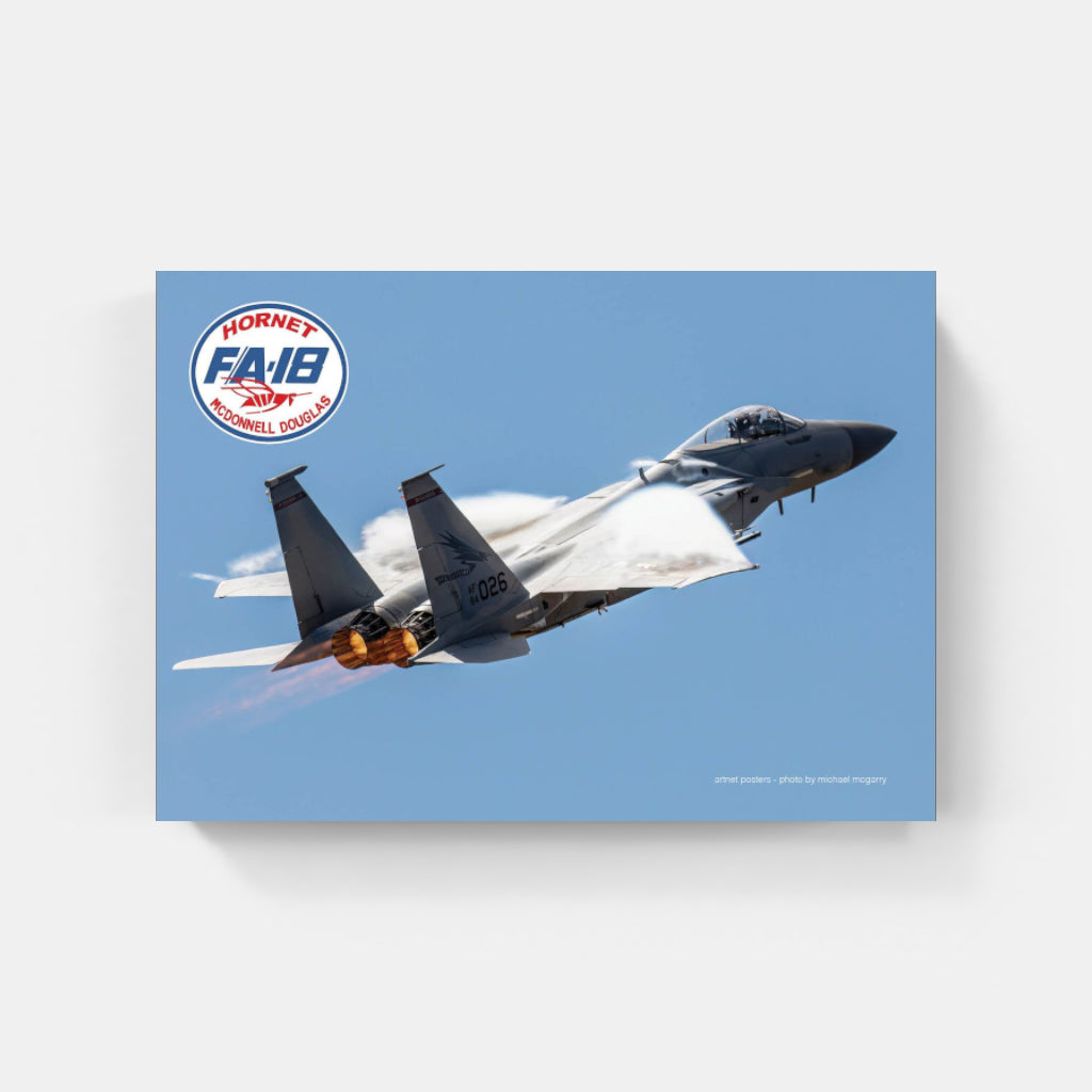 F18 Hornet poster