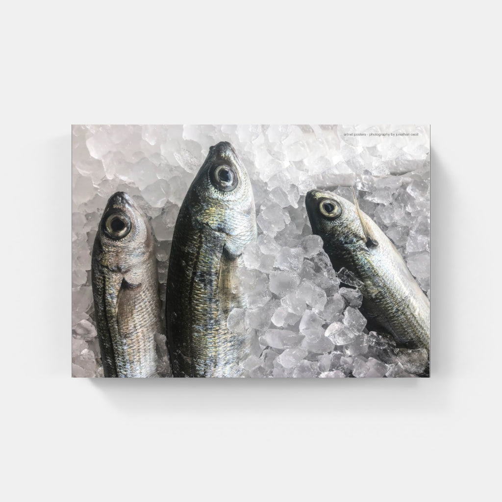 Fresh Fish poster