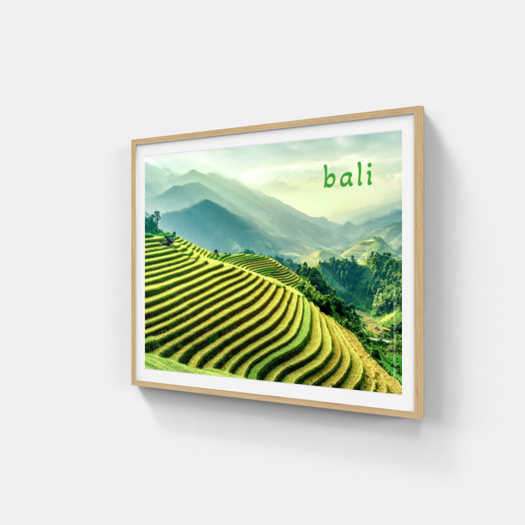 Bali Rice Terraces poster