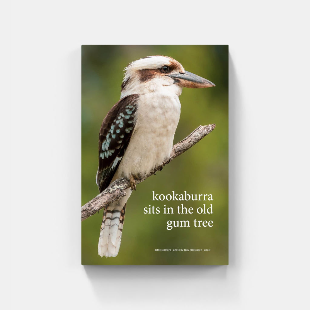 Kookaburra sits in the Old Gum Tree poster