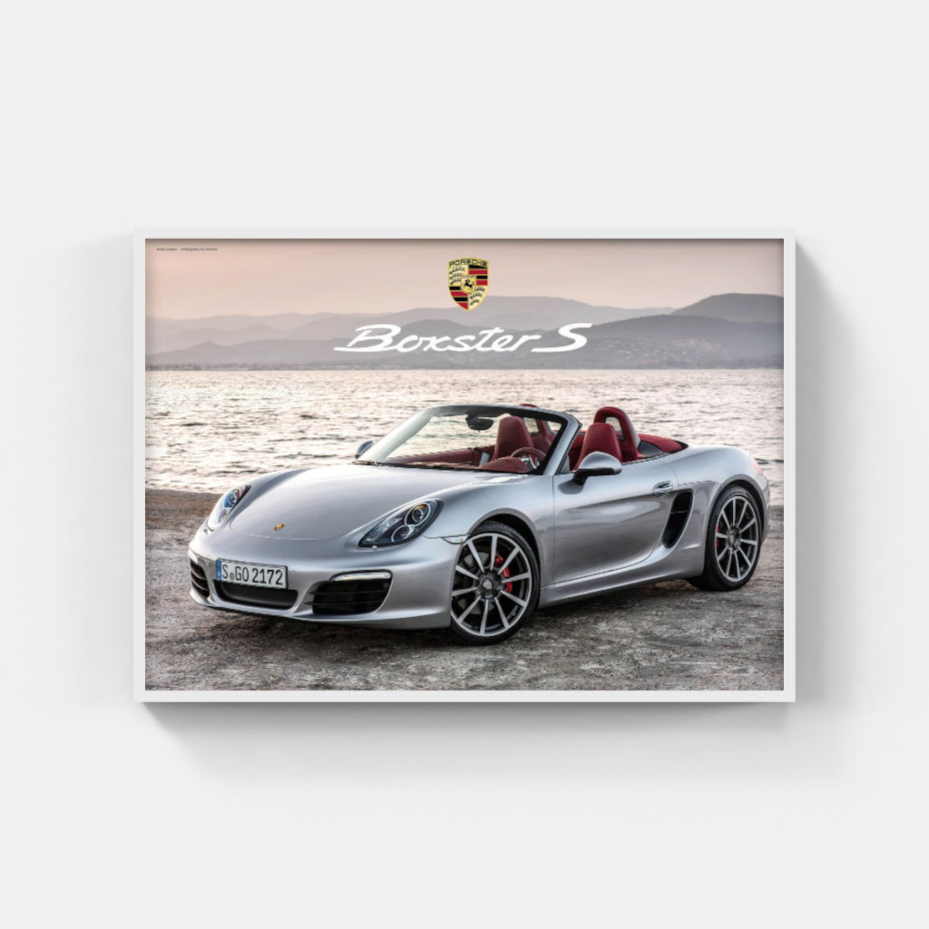 Porsche Boxster 781 poster