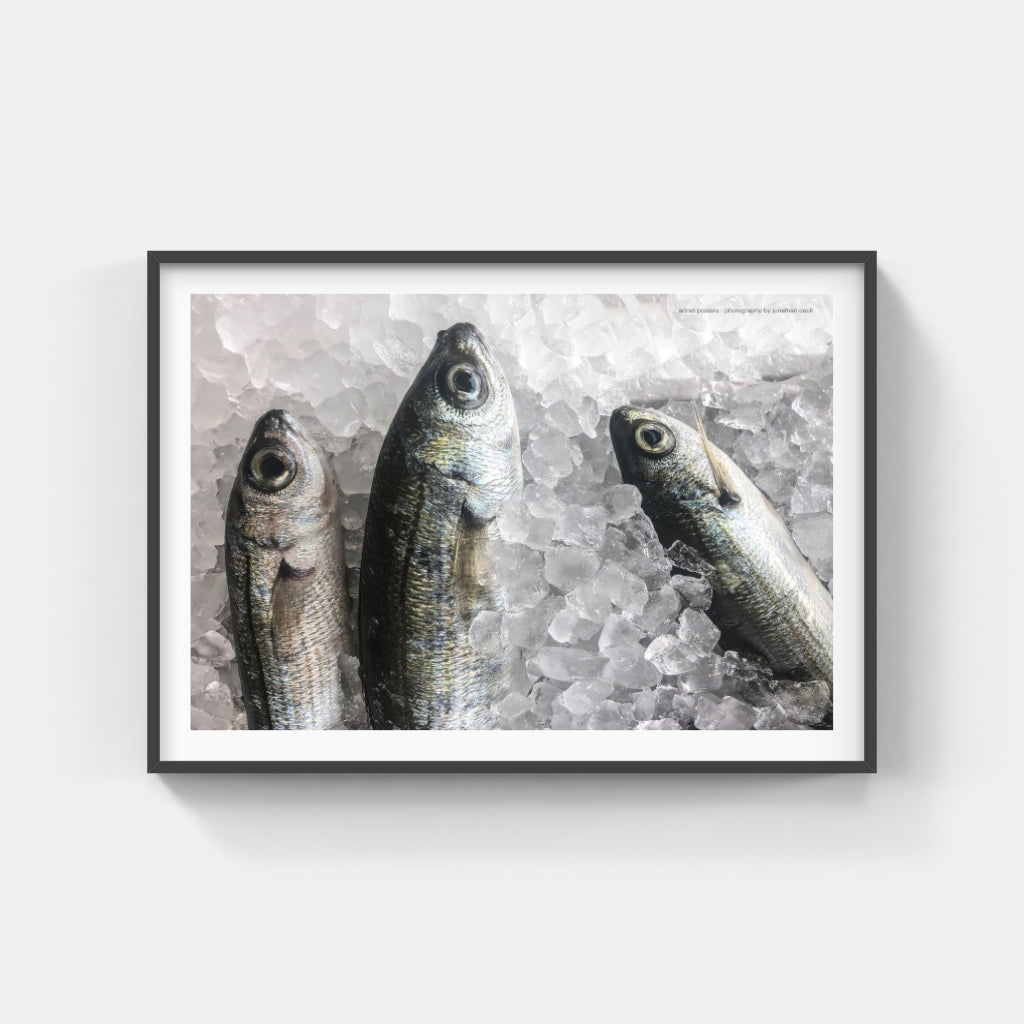 Fresh Fish poster