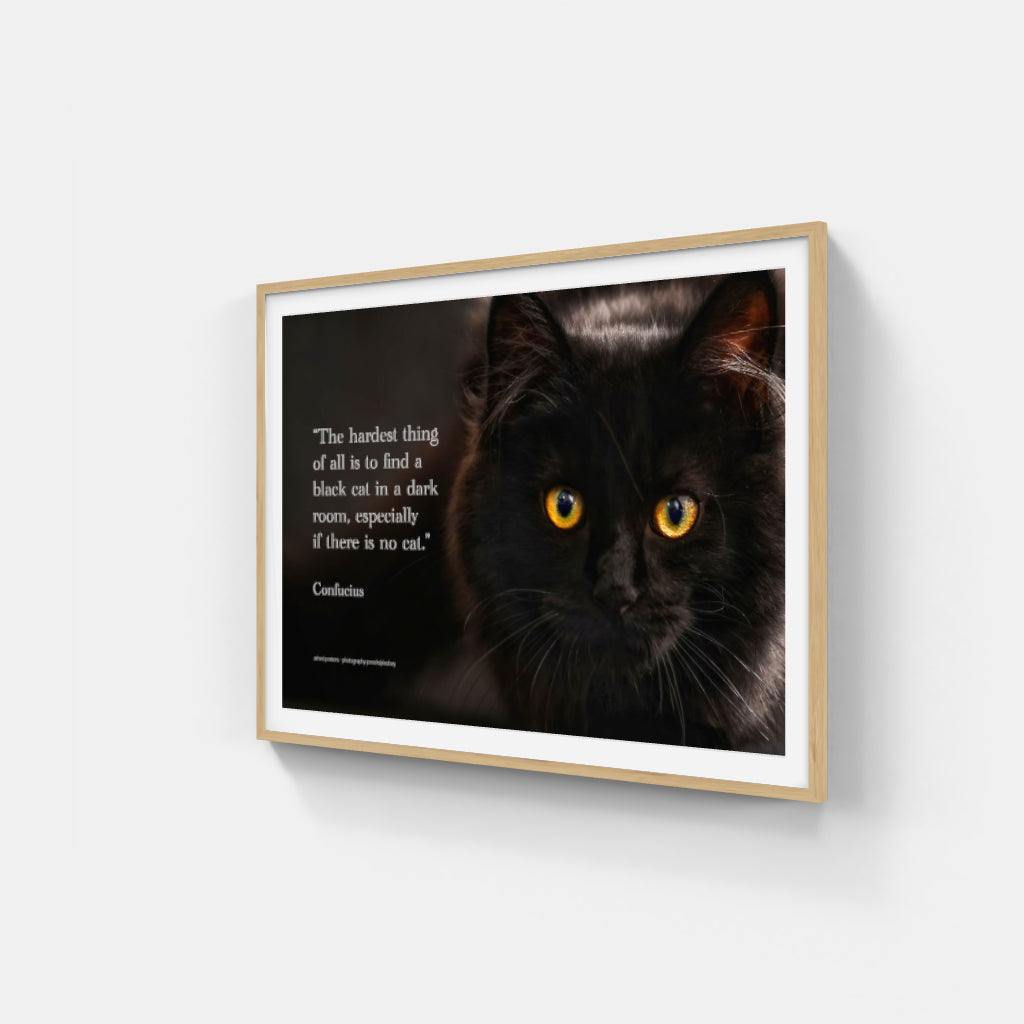 Confucian Cat poster