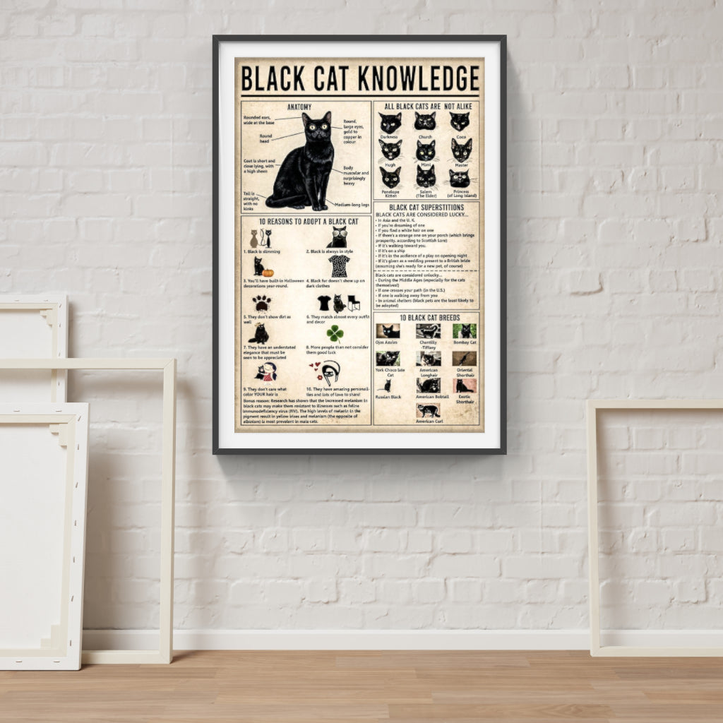 Black Cat Knowledge poster