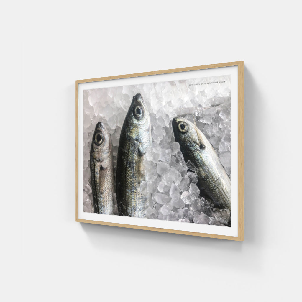 Fresh Fish poster