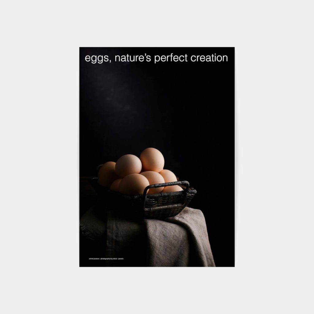 Eggs perfection - kitchen poster