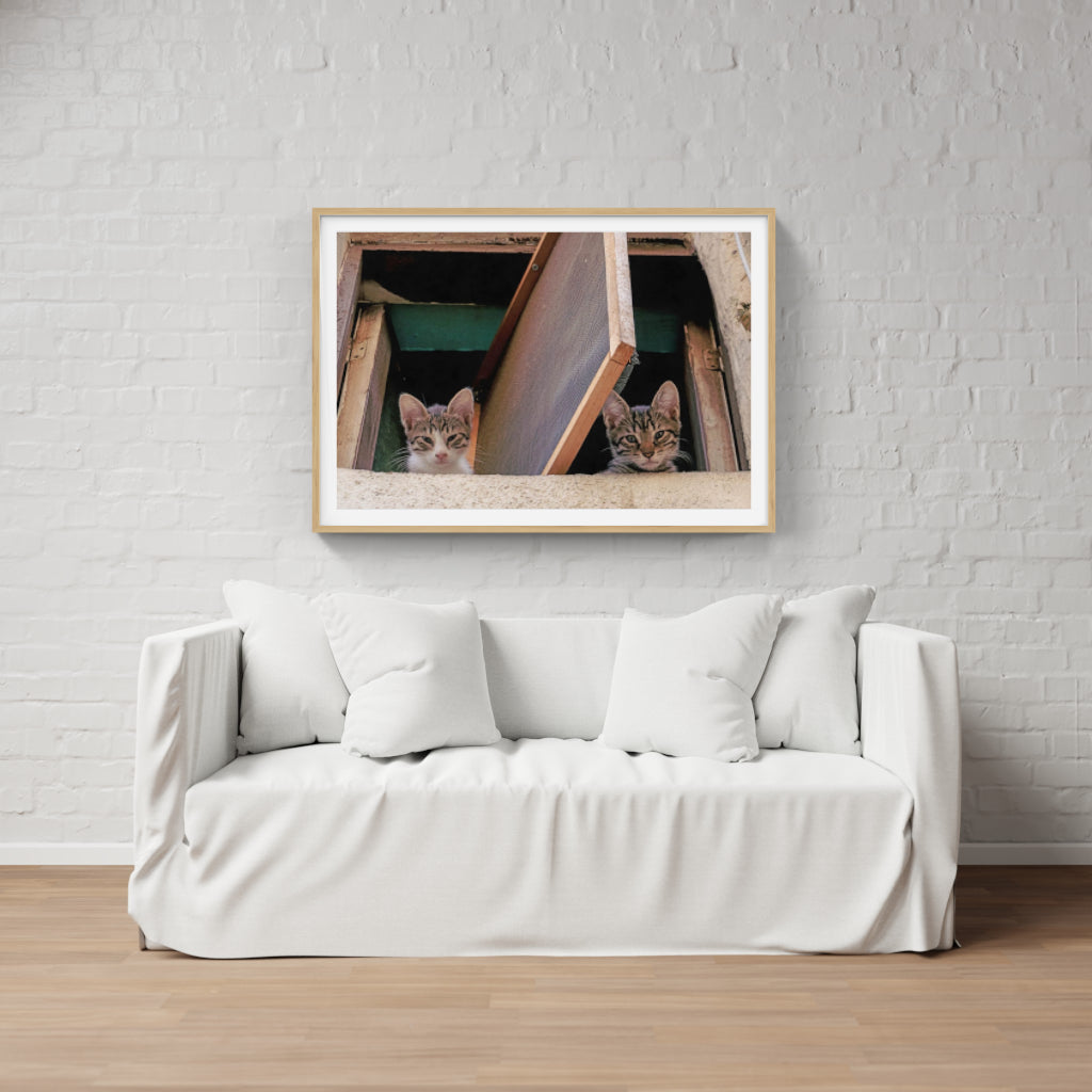 Kittens in a Window poster