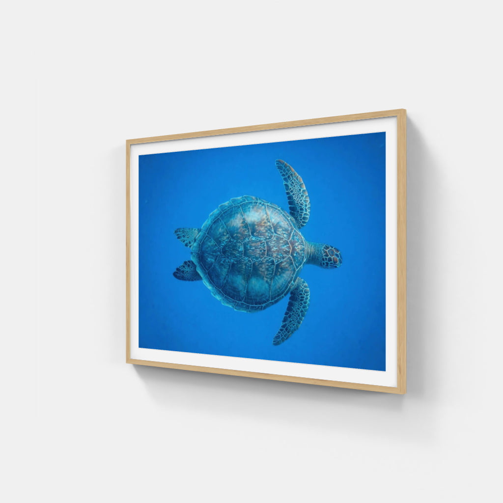 Turtle poster