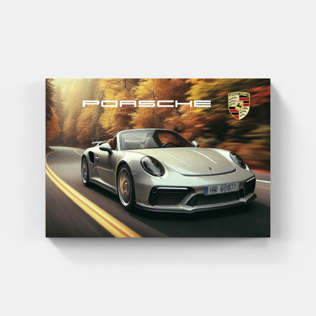 Porsche 911 Cabriolet poster