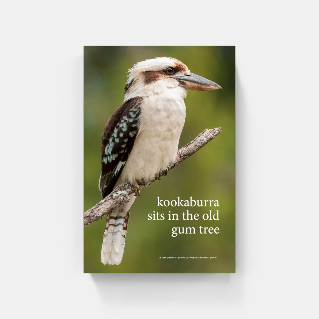 Kookaburra sits in the Old Gum Tree poster