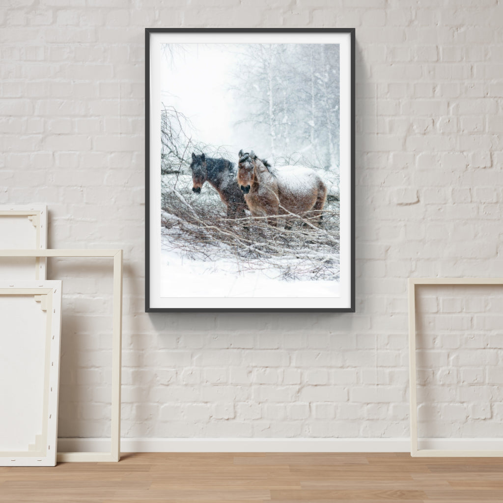 Snow Horses poster