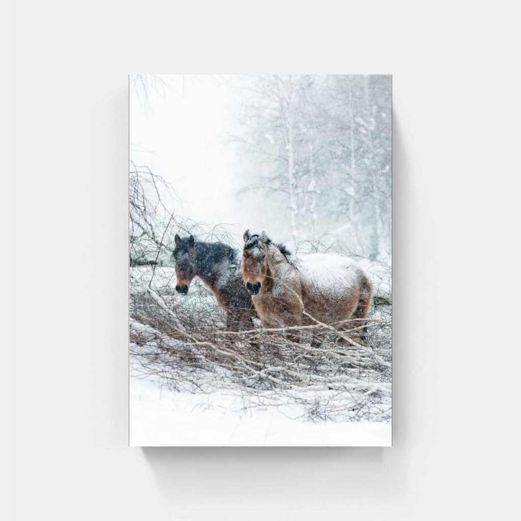 Snow Horses poster