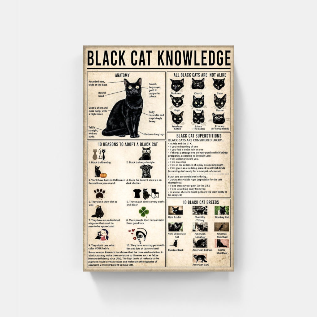 Black Cat Knowledge poster