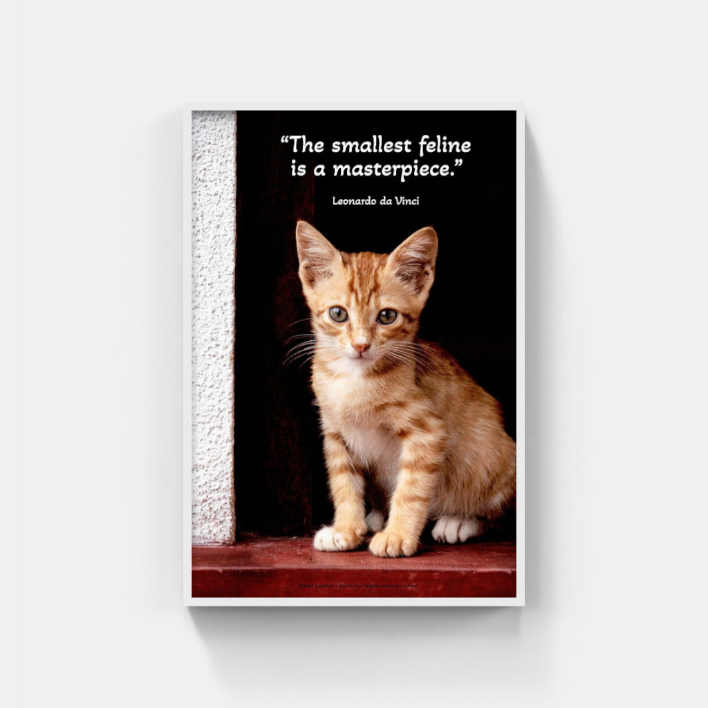 Kitten in a Doorway poster