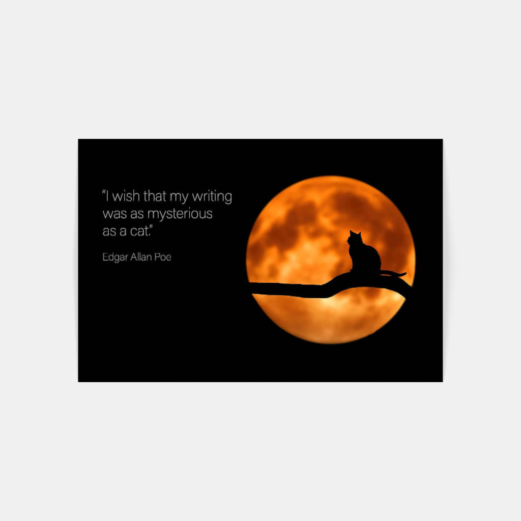 Moon Cat poster