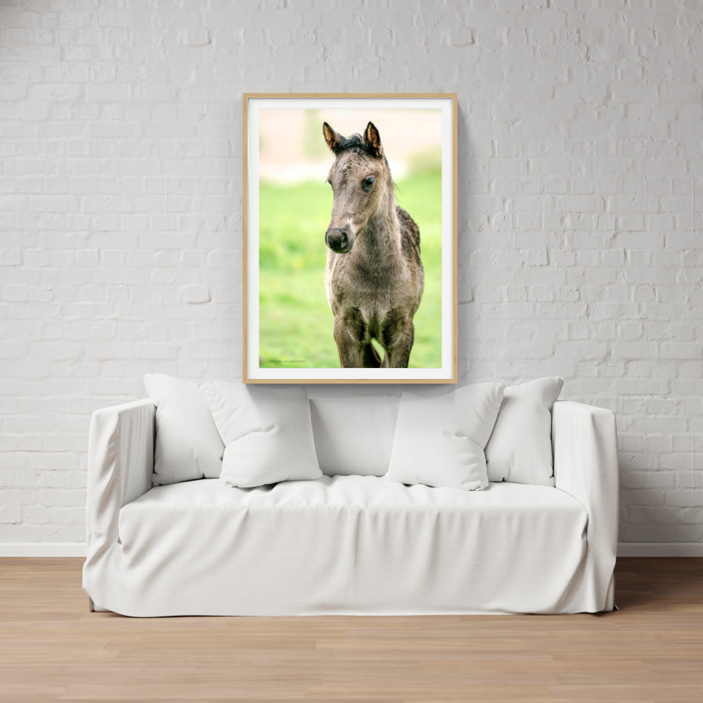 Foal poster