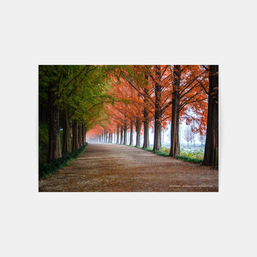 Autumn Trees - poster