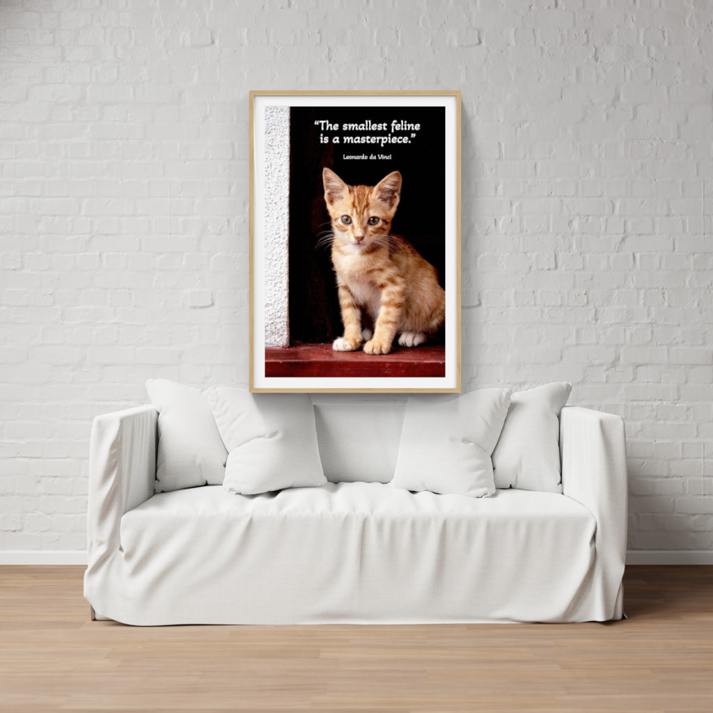 Kitten in a Doorway poster