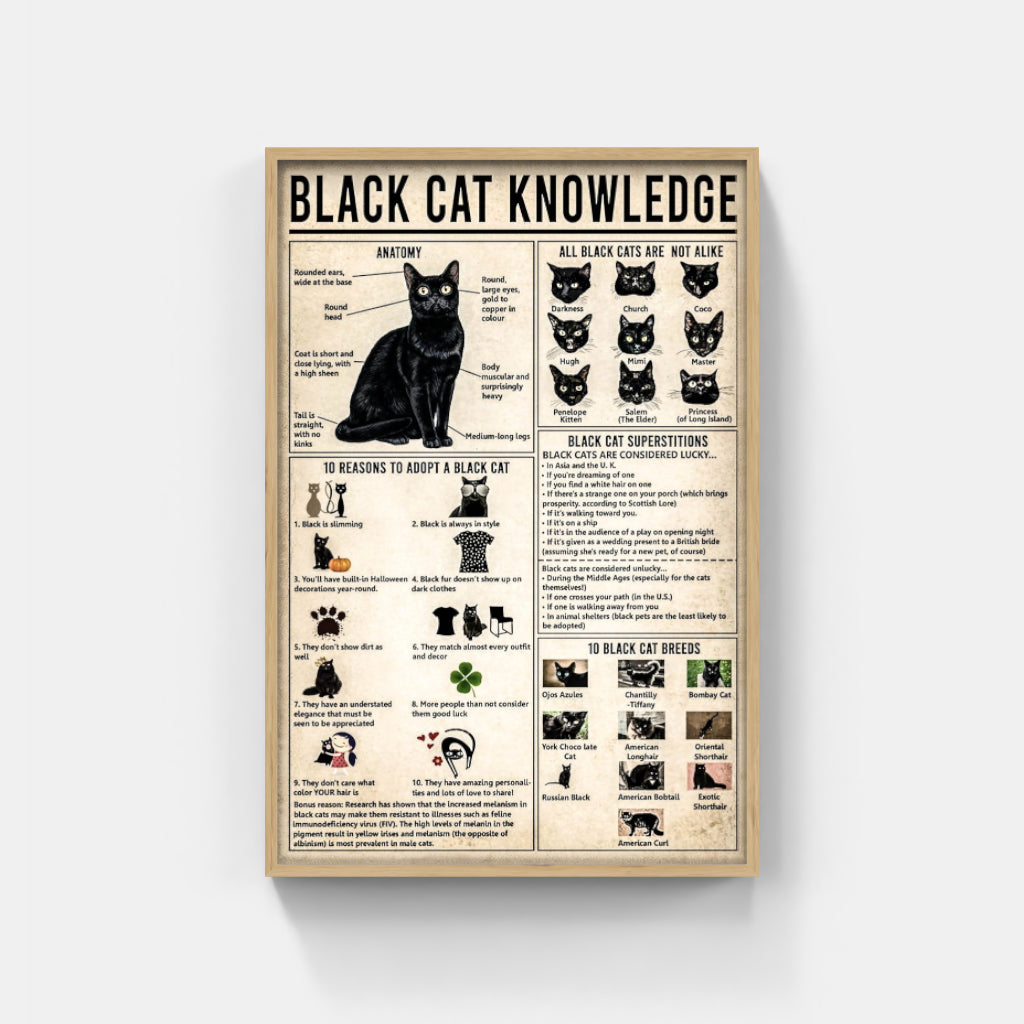 Black Cat Knowledge poster