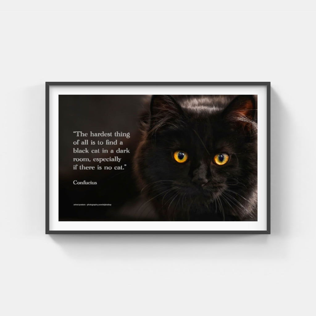 Confucian Cat poster