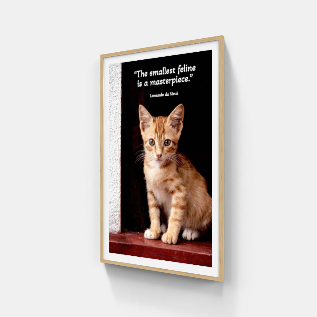 Kitten in a Doorway poster