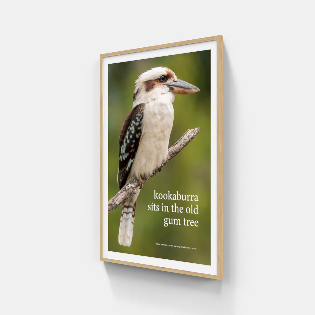 Kookaburra sits in the Old Gum Tree poster