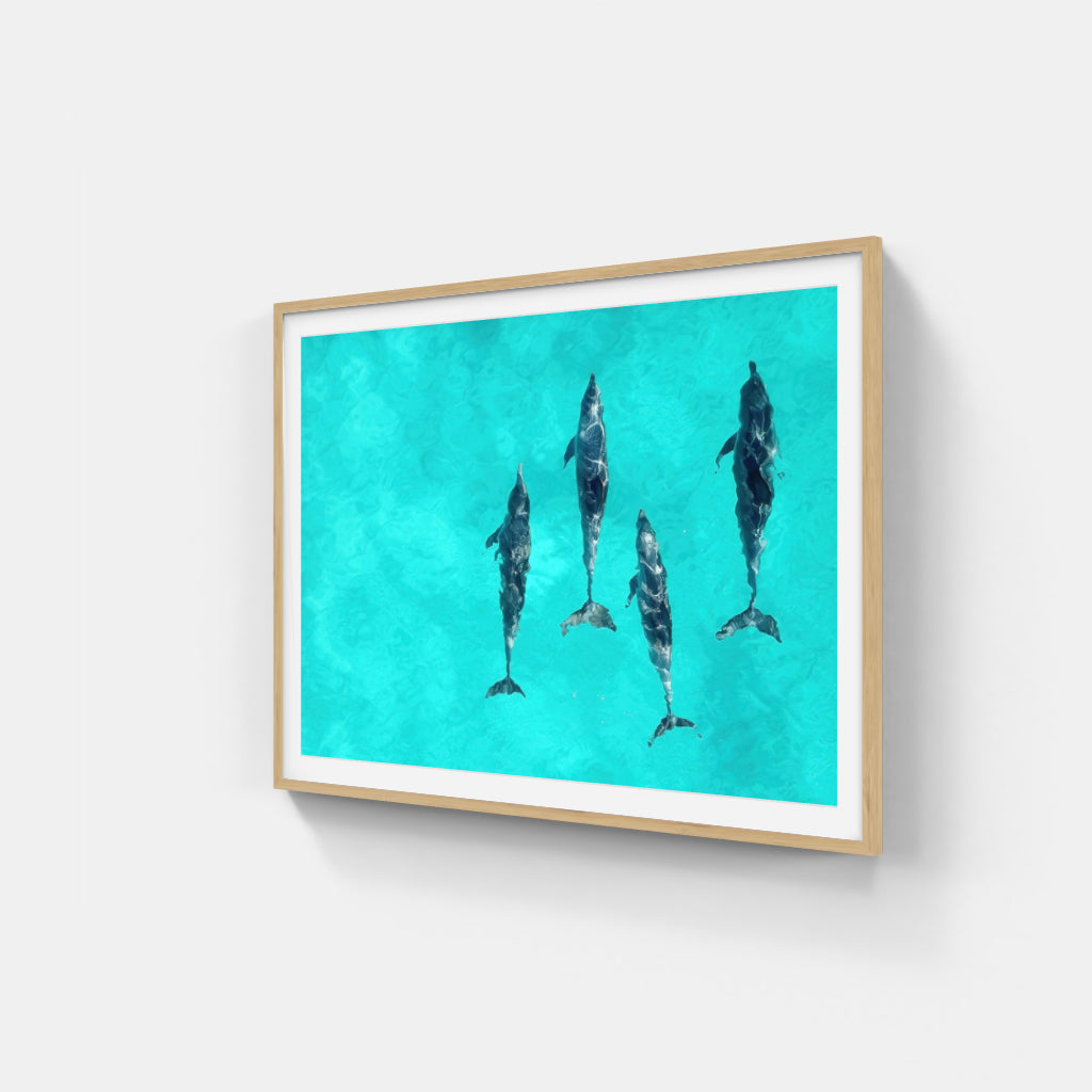 The Intelligence of Dolphins poster