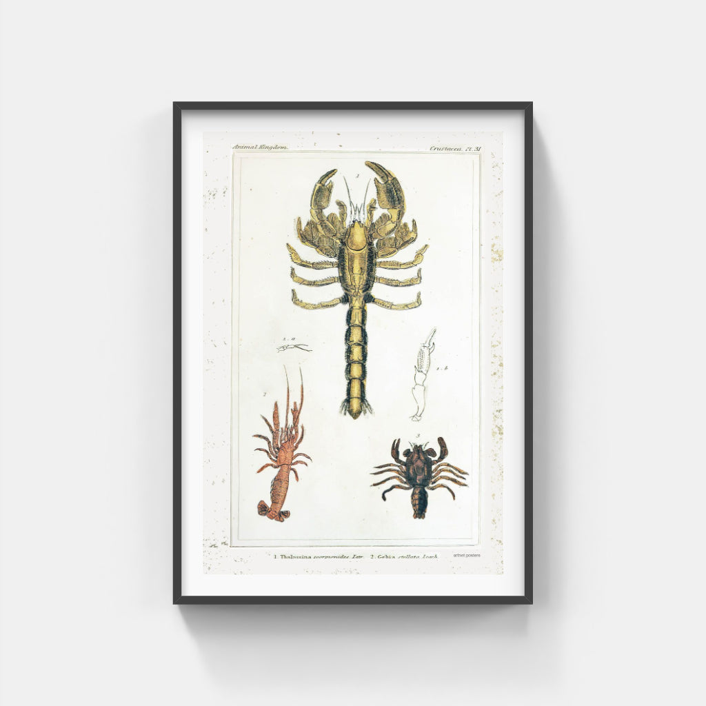 Vintage Crustaceans retro poster