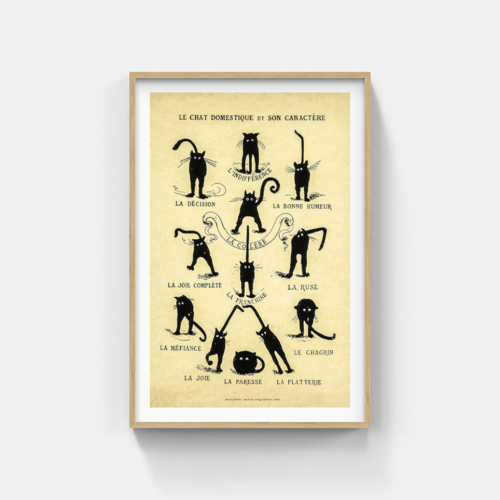 Chat Noir Domestique poster