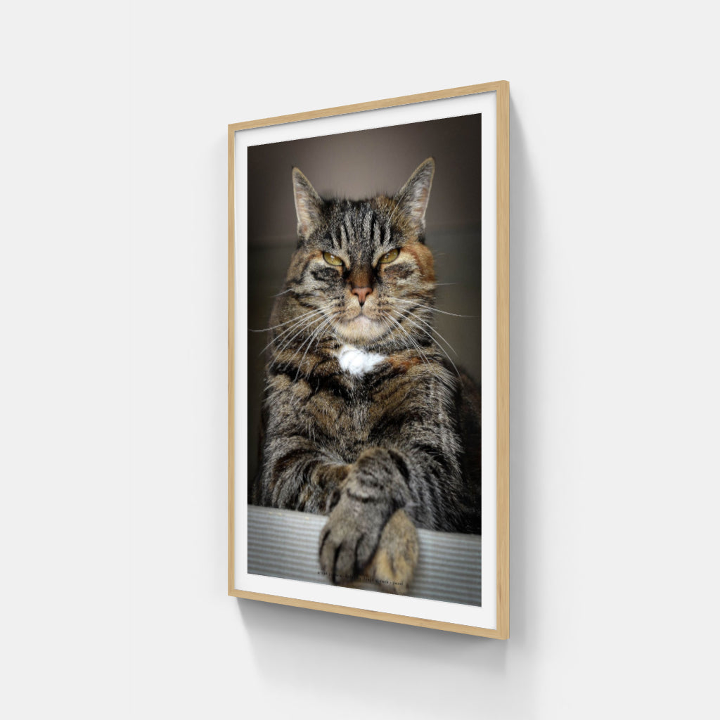 Master of the Universe cat poster