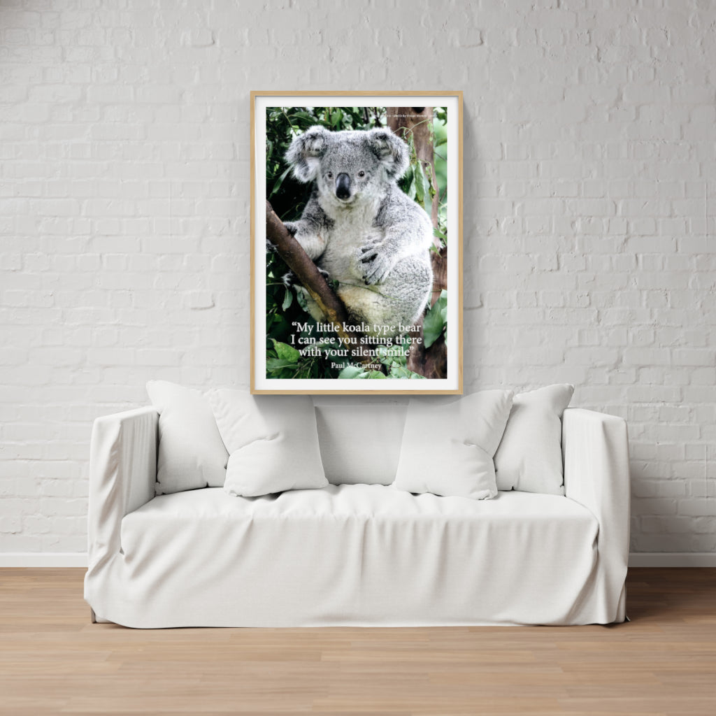 Koala poster