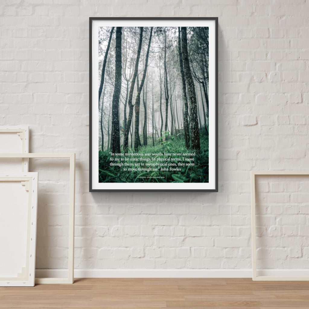 Mysterious Woods poster