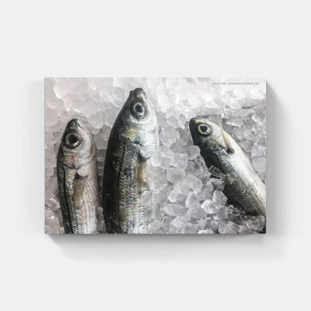 Fresh Fish poster