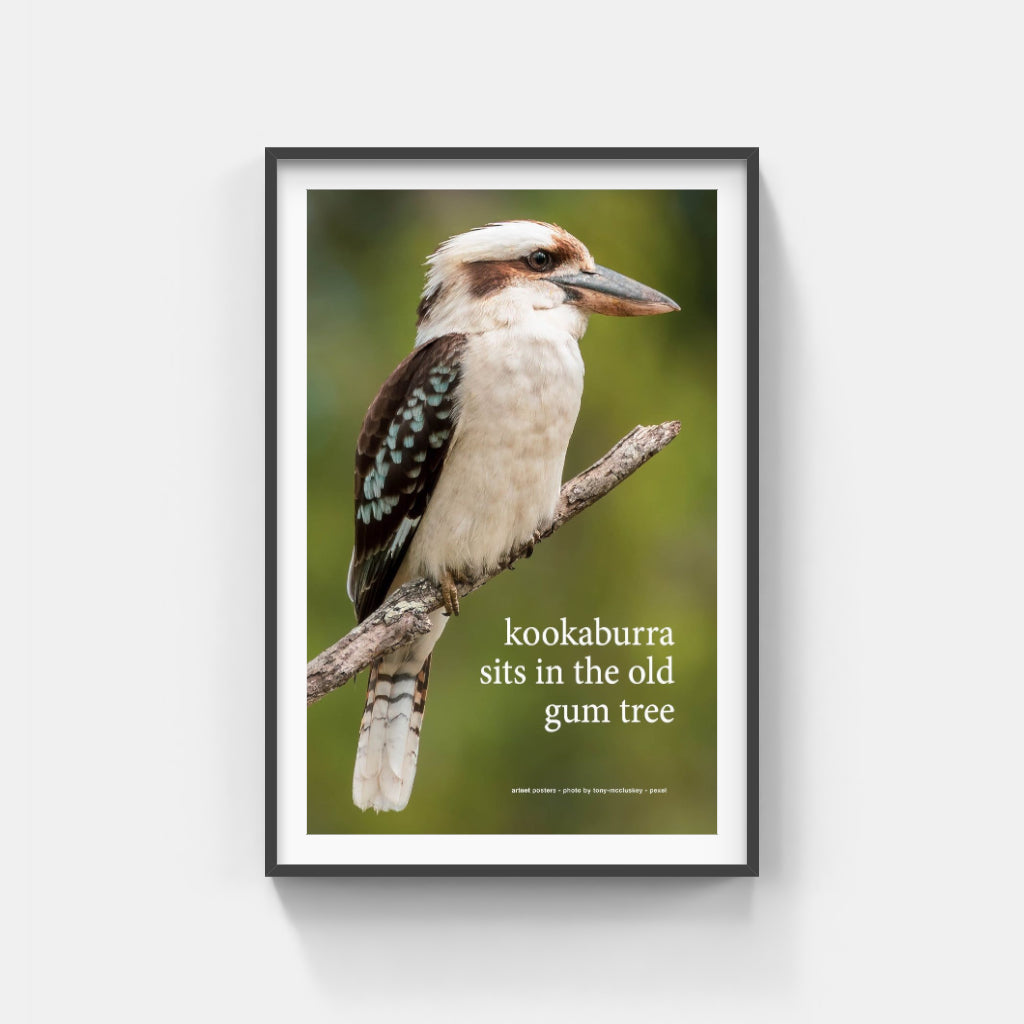 Kookaburra sits in the Old Gum Tree poster