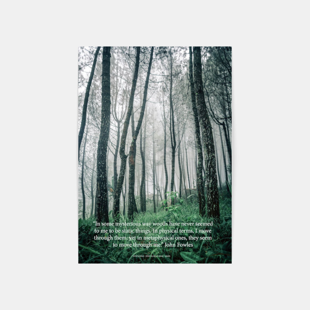 Mysterious Woods poster