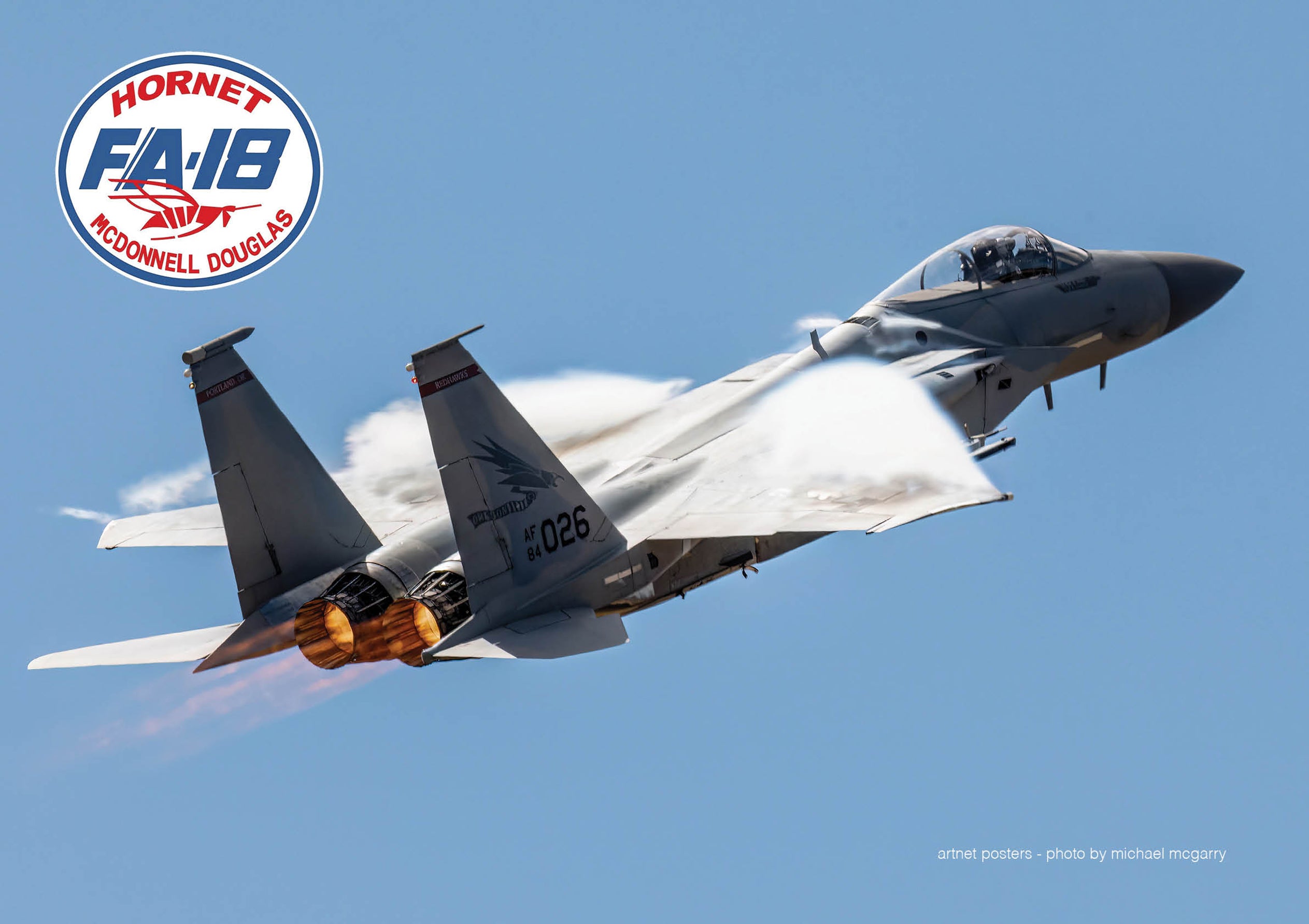 F18 Hornet poster