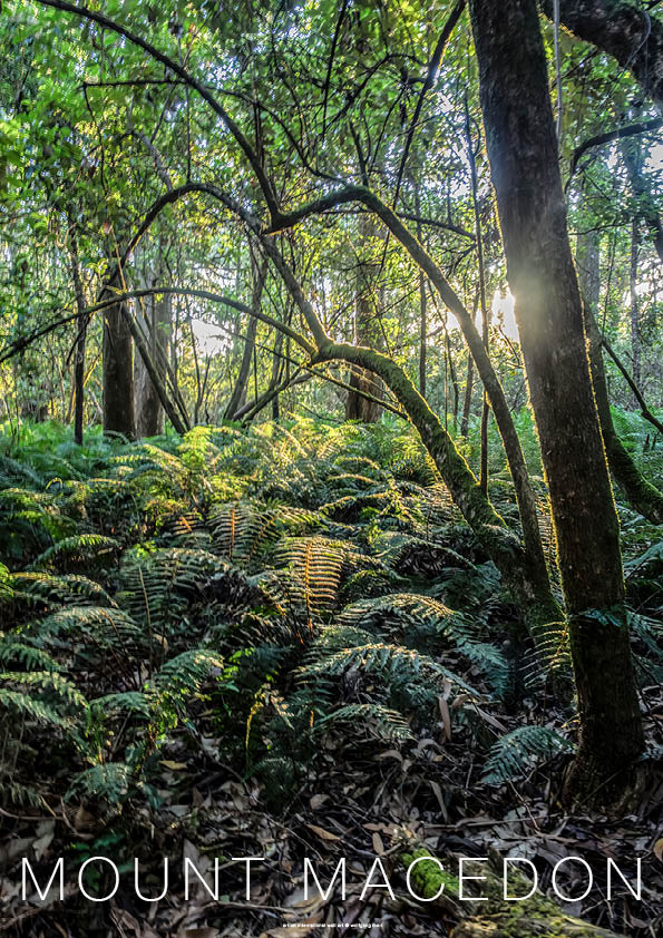 Mount Macedon poster